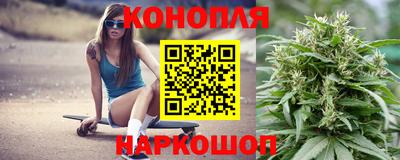 дживик Шебекино