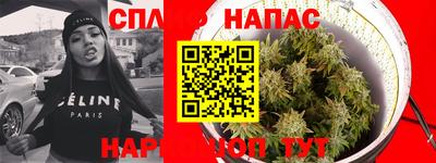 дживик Шебекино
