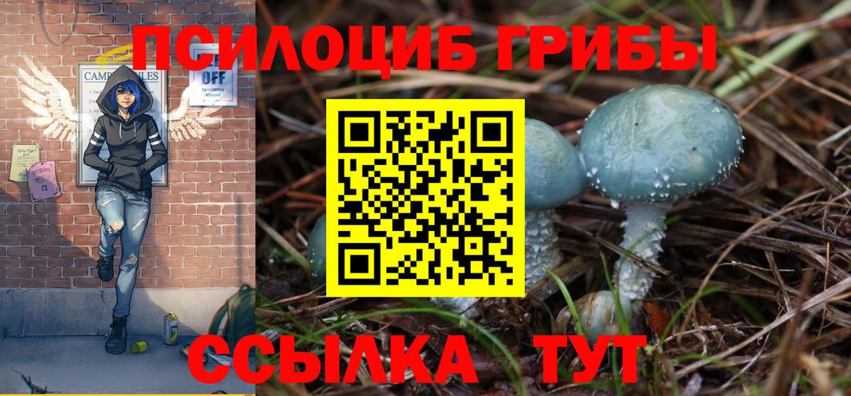 Галлюциногенные грибы Psilocybe Богородицк