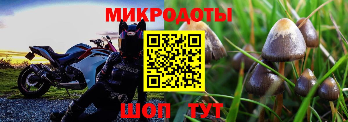 Богородицк  Псилоцибиновые грибы мухоморы  Вход с VPN 
